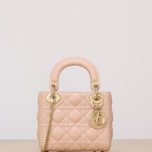 Mini LADY DIOR handbag(channel)