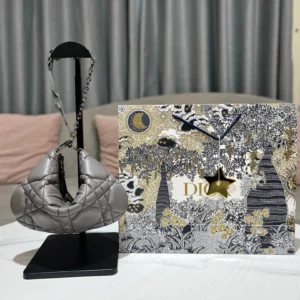 DIOR CARO Tulip Handbag Size: 25*16*2.5cm