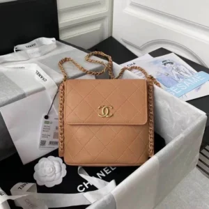 Calfskin Model: AS2542 Small: 19x23x7cm