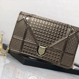 Diorama Woc Chain Bag Size: 19cm