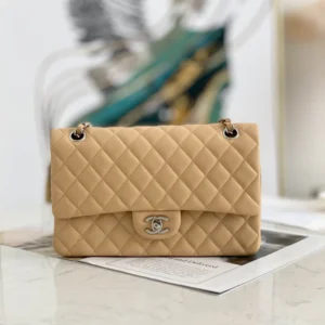 CF 25cm Gold and Silver Buckle Model: 1112 Size: 25.5*6.5*15.5