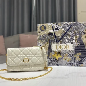 Caro Chain Clutch Size:17.5*10.5*5 cm