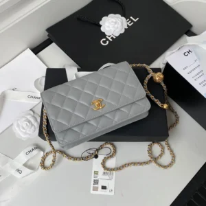 Chane Chain Pouch Size: 19cm