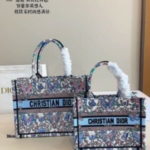 Medium AND Small Dior Book Tote